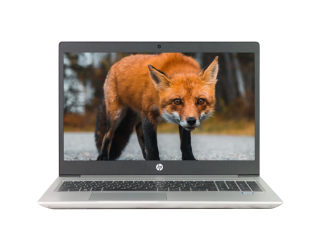 БУ Ноутбук 15.6&quot; HP ProBook 450 G6 Intel Core i5-8265U 32Gb RAM 1Tb SSD NVMe FullHD IPS из Европы в Дніпрі