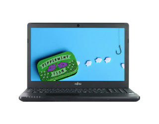 БУ Ноутбук 15.6&quot; Fujitsu LifeBook A556 Intel Core i5-6200U 8Gb RAM 240Gb SSD из Европы в Днепре