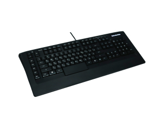 БУ Игровая клавиатура SteelSeries APEX RAW с белой подсветкой и макроклавишами (64133) из Европы в Днепре